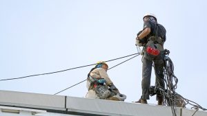 راپلکاران رنگین پارس